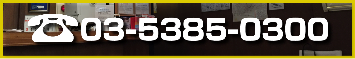 <a href=”tel:0353850300” onclick="gtag('event', 'tel', {'event_category': 'button','event_label': '0353850300'});“>電話番号</a>