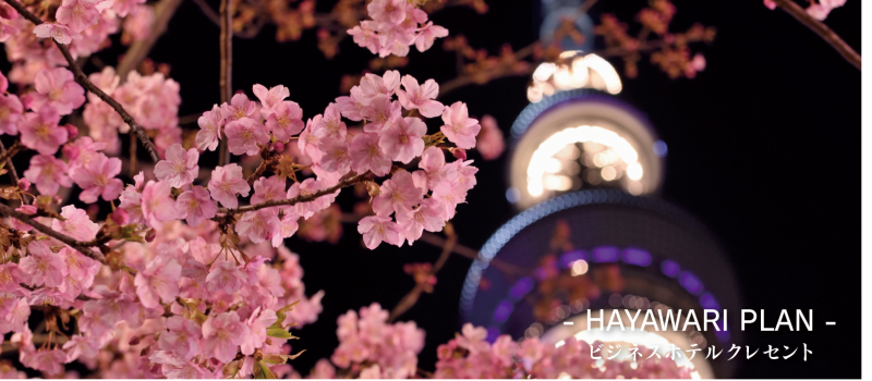 hayawari8 ビジネスホテル クレセント 早割プラン